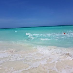 Meet your Posher, Charlene